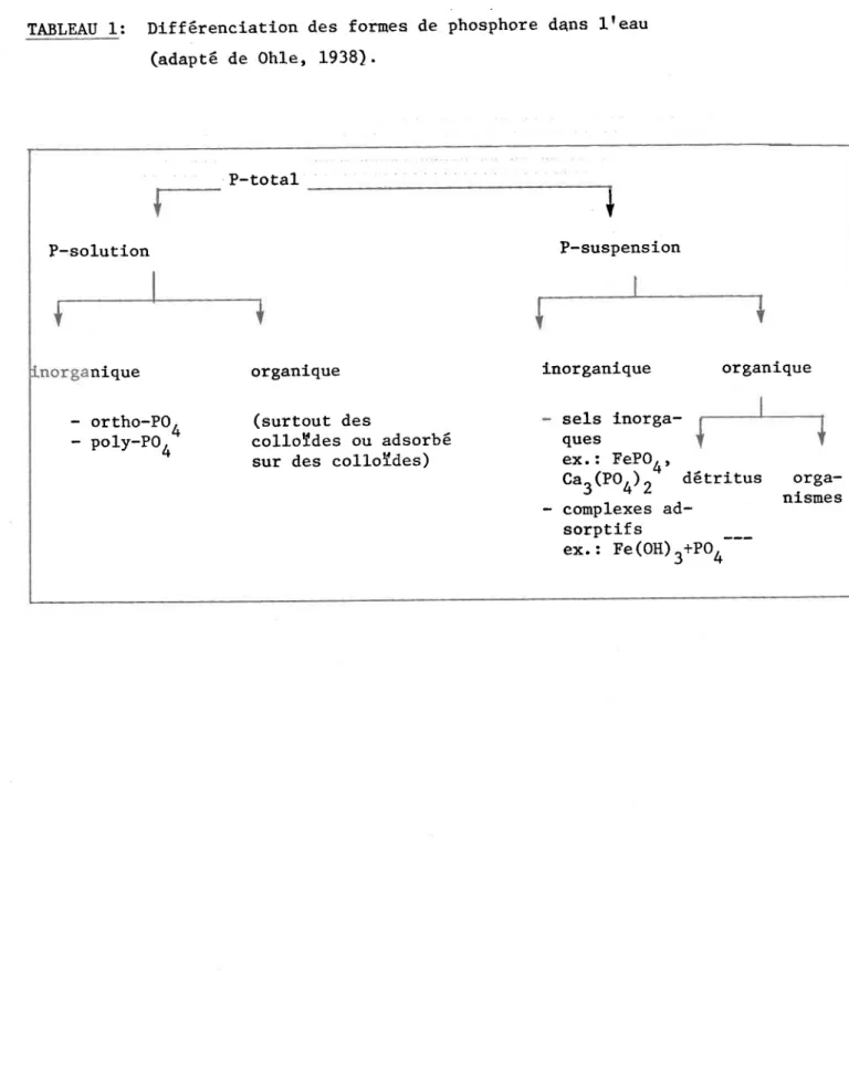 TABLEAU l-:  Diffêrenciation  des  fornes  de  phosphore  dans  Lteau ( a d a p t é   de  0h1&#34;e, L938)