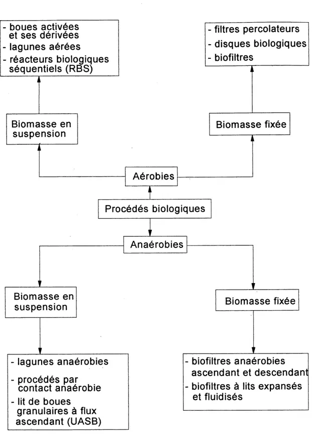 Figure 1.1 Types principaux de precedes biologiques de traitement des eaux usees applicables aux effluents des papetieres (SPRGSTGER, 1986; MALINA et