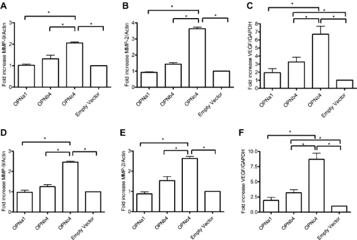 Fig. 3. MMPs and VEGF are overexpressed in PCa cells overexpressing OPNb and OPNc isoforms