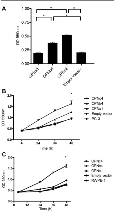 Fig. 4. OPNc and OPNb stimulate cell proliferation under serum starving conditions by stimulating cell survival