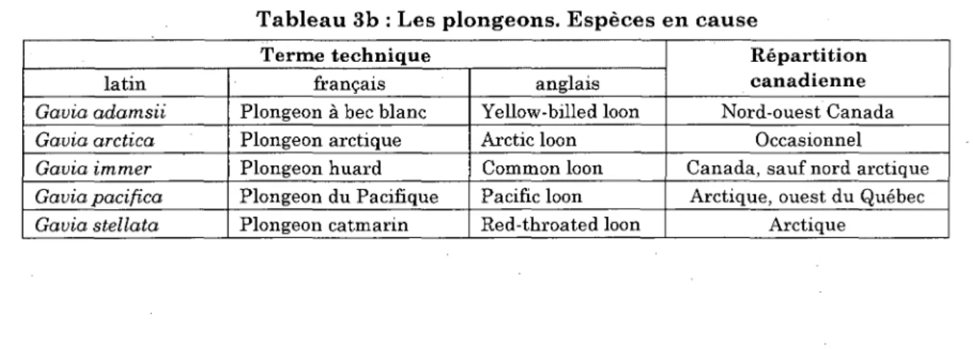 Tableau 3b : Les plongeons. Especes en cause 