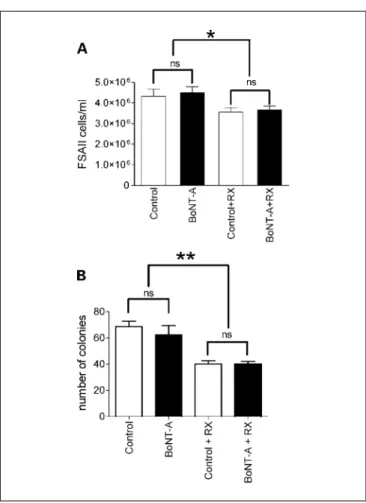 Fig. 6. Effect of BoNT-A (0.73 units/100  10 6 cells) on FSAII cells evaluated by the trypan blue exclusion dye method ( A ) and by the clonogenic cell survival assay ( B )
