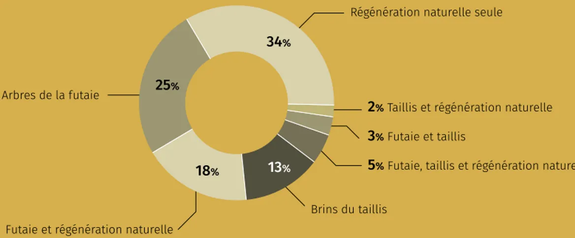 Diagramme à flux illustrant la distribution des  taillis sous futaie à bouleau (surfaces en  hec-tare) selon les trois compositions en essences  les plus fréquentes (en dessous : chênaie, autres  feuillus et feuillus nobles) et les différentes formes  du b