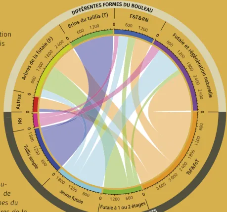 Diagramme à flux illustrant la distribution des bou- bou-laies (surfaces en hectare) selon les structures de  peuplements (en dessous) et les différentes formes du  bouleau (au-dessus : régénération naturelle, arbres de la  futaie ou brins de taillis).