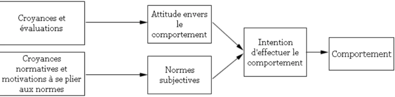 Figure 9 - Théorie de l'action raisonnée (Davis, Bagozzi et Warshaw, 1989) 