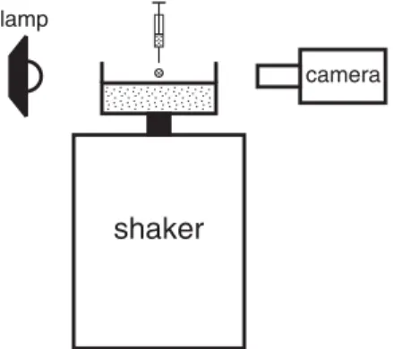 FIG. 1. Experimental setup to investigate the coalescence and bouncing of liquid droplets.
