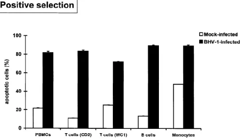 Figure  3.  :  Percentages  of  apoptotic  cells  in  positively  purified  PBMC  subpopulations  stimulated  with  IONO/PDB,  mock-infected  or  infected  with  BHV-1  (MOI  of  10),  and  incubated  for  36  h