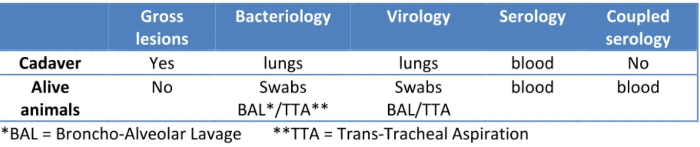 Table 1: different tools and samples for identification of etiologic agents in BRD animals