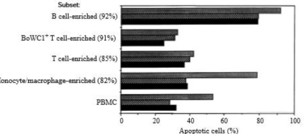 Figure  2.  Percentages  of  cells  undergoing  apoptosis  in  cell  cultures  enriched  into  different  populations  from PBMC