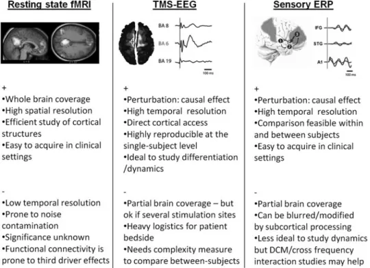 FIG. 1. Pro ( + ) and cons ( ) of different approaches applicable to the study of brain connectivity in patients with disorders of consciousness