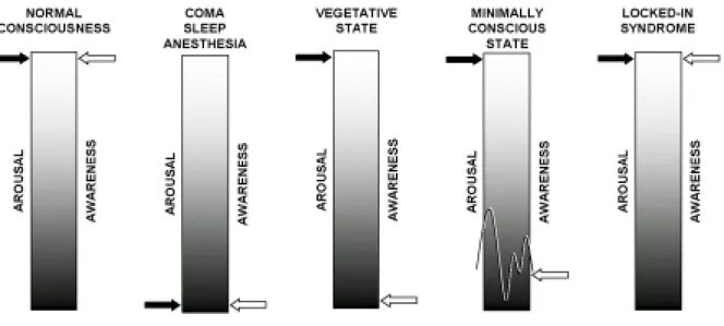 Figure 2. Graphical representation of the two components of consciousness (arousal and  awareness) and their alterations in coma, the vegetative state, the minimally conscious state  and in the locked-in syndrome