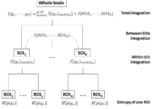 Fig.  5.  Illustration  of  the  hierarchical  tree  comprising  the  whole  brain,  K  systems  of  interest  (SOIs),  and  N  regions  of  interest  (ROIs)