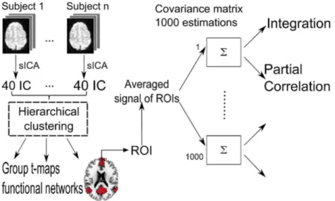 Fig. 1. Three-step procedure used to compute integration and partial correlations at the group level
