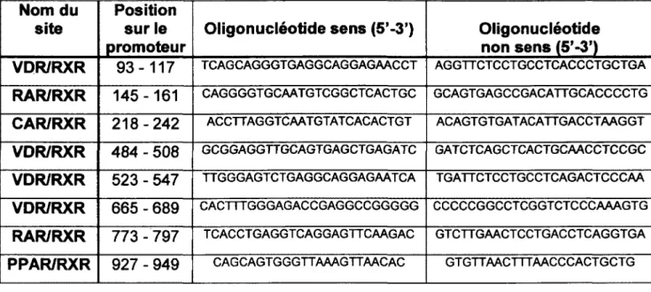 Tableau 4 : Liste des oligonucléotides utilisés pour les gels de rétention  Nom du 