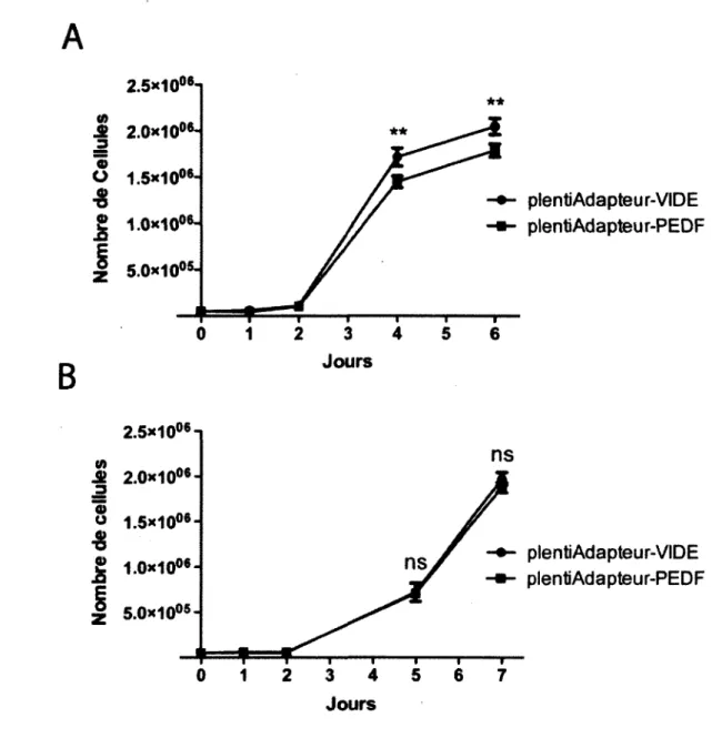 Figure 15 : Effet de la surexpression de PEDF sur la prolifération des cellules  DLD1  et  HT29