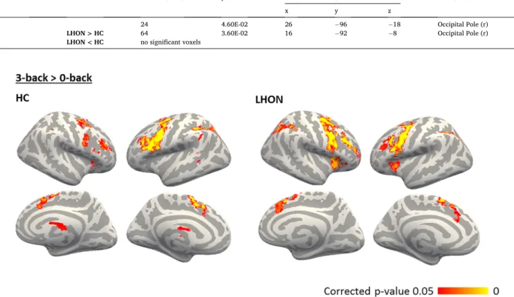 Fig. 5. Brain response in LHON patients is modulated by light conditions during the attentive task