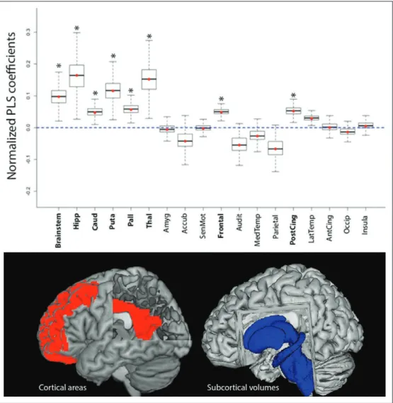 Figure 4. Model components. Cortical and subcortical morphometric data were used as independent variables  and then employed to estimate partial last square (PLS) regression to predict final outcome