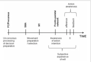 FIGURE 1 | Time of voluntary initiation of action and the associated brain regions. Frontal and parietal cortex work together for deciding the action to plan and are also involved in the awareness of motor intention whereas the SMA translates the first unc