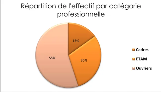 Figure 3 : Répartition de l’effectif 