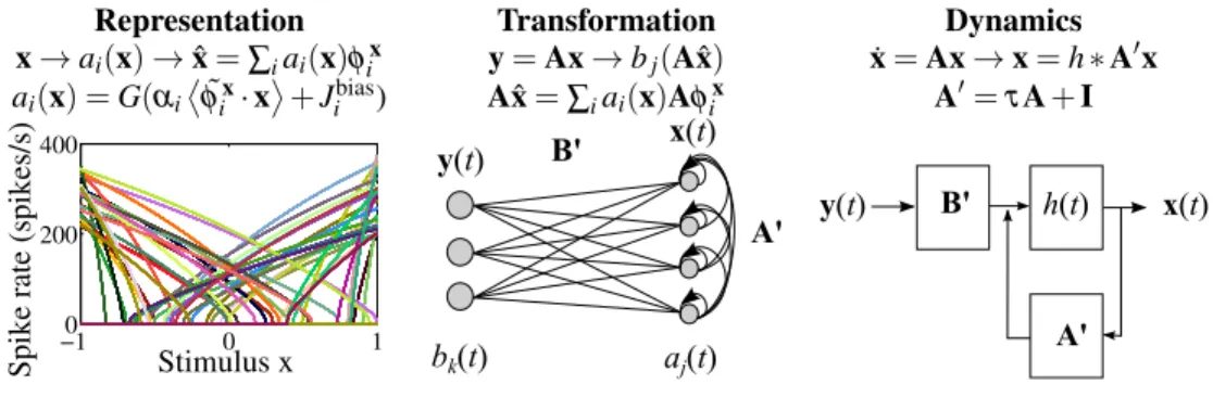 Figure 1: NEF’s three principles. Representation. 1D tuning curves of a population of 50 leaky integrate-and-fire neurons