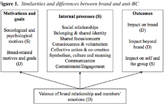 Figure 1.  Similarities and differences between brand and anti-BC 