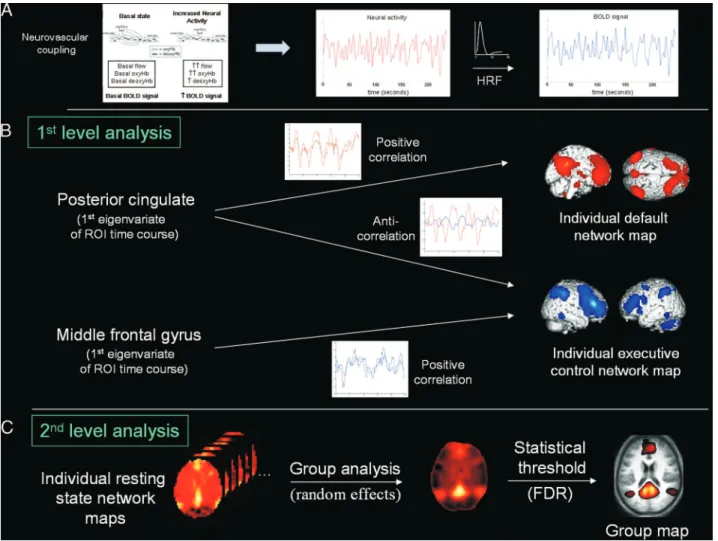 Fig. 1. Summary of region-of-interest (ROI)– based connectivity analysis procedures. (A) Neurovascular coupling: blood oxygen level-dependent (BOLD) signal correlates with regional neural activity