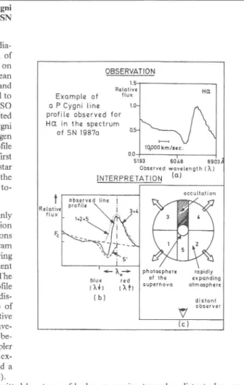 Figure 8: Example of a P Cygni line profile in the spectrum of SN 1987a