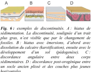 Fig.  6 :  exemples  de  discontinuités.  A :  hiatus  de  sédimentation.  La  discontinuité,  soulignée  d’un  trait  plus  gras,  n’est  visible  que  par  le  changement  de  fossiles