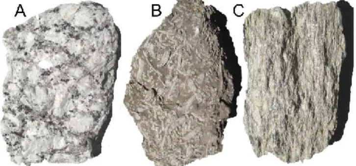 Fig.  1 :  les  principaux  types  de  roches :  A :  granite  (roche  magmatique),  B :  calcaire  fossilifère  (roche  sédimentaire), C : gneiss (roche métamorphique)