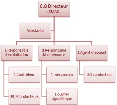 Figure 7 : Organigramme CTLB filiale RATP Dev 