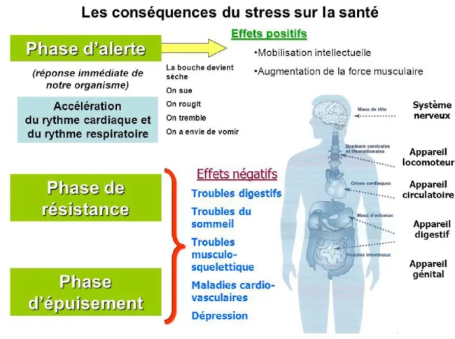Figure 6 : Les conséquences du stress sur la santé 