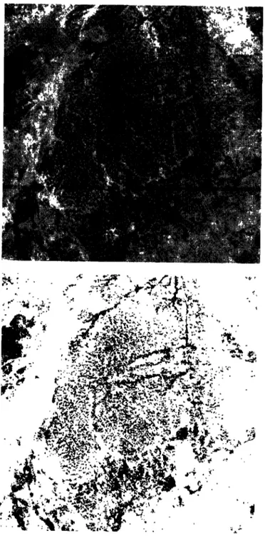 Figure 3. a) amélioration de contraste sur une photographie aérienne de 1958 numérisée (secteur de Makaoratchi); b) mise en évidence de la végétation; à noter que les reliefs