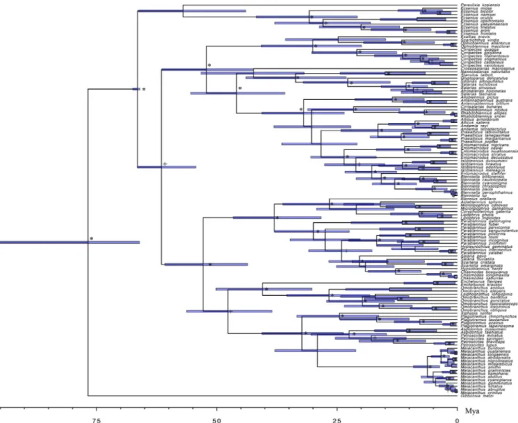 Fig. 1. Time-tree of Blenniidae obtained from Bayesian relaxed clock analysis of the concatenated dataset