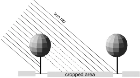 Fig. 1. Schematic representation of the silvorarable agroforestry systems considered in this study.