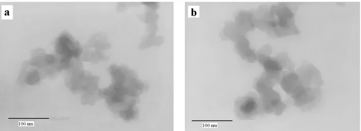 Fig. 2. TEM of gels synthesized with pH = 7 before (a) and after (b) pyrolysis. 