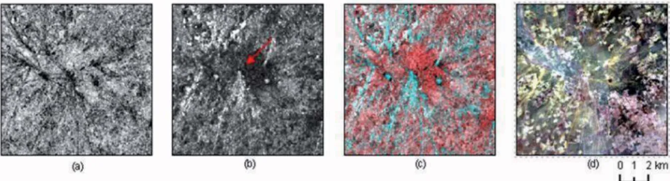 Figure 10. Lieu de rencontre du bétail dans la région de Gouré. (a) Coh96 (b) mod96 1  (c) Composition colorée de coh96,  mod96 1  et mod96 2  en RGB (piste 451) (d) image Landsat 7 du 8 novembre 2000 (bandes 432 en RGB).