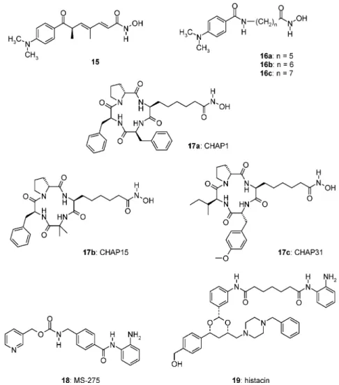 Table 3. Inhibitor Selectivity Screening with Substrates 3a,b and 5b IC 50 (nM) a inhibitor 3a 3b 5b selectivity (HDAC6/HDAC1) b 16b 78.2 ( 8.3 148 ( 14 3512 ( 999 0.35 16c 256 ( 23 488 ( 165 241 ( 34 1.6 17a 349 ( 79 411 ( 20 65.6 ( 8.4 10 17b 137 ( 13 22