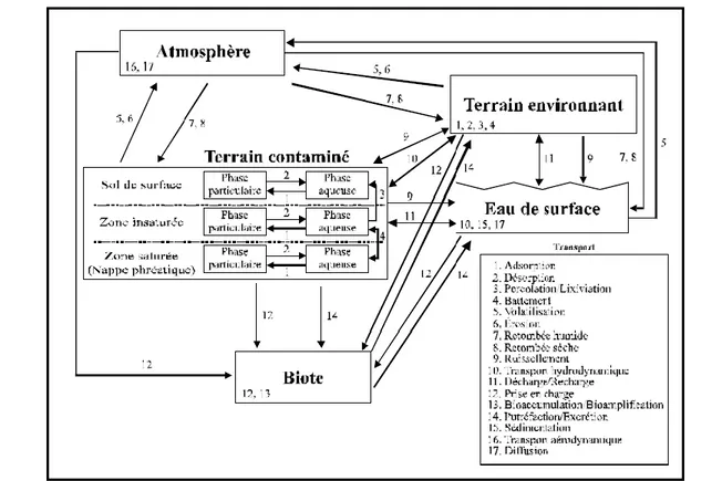 Figure 3.3 : Exemple d'un modèle générique de contamination (tiré de : CEAEQ, 1998, p.53)  Par  ailleurs,  pour  certains  métaux  et  métalloïdes  naturels,  comme  l’arsenic,  le  manganèse,  le  nickel,  le  plomb  et  le  sélénium,  il  est  important 