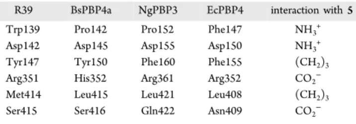 Table 4. N-Terminal Binding Site in LMMC PBPs