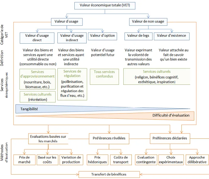 Figure  1.3  :  Décomposition  de  la  valeur  économique  totale  accompagnée  des  services  écosystémiques  et  des  méthodes  d’évaluation  associées  (compilation  d’après  :  Ministère fédéral de la coopération économique et du développement, 2011, p