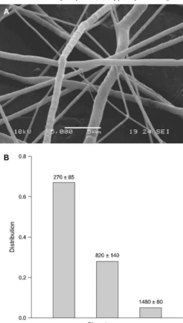 Fig. 9. SEM micrograph of electrospun mat of H x C 60 (NHPEG) x /PCL (1/2, wt/ wt) magnification x5000 (A) and  diameter distribution of the fibers (B)