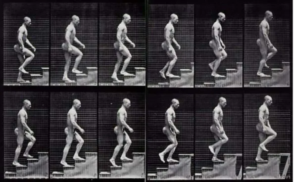 Fig. 5. MUYBRIDGE Eadweard, 1878, chronophotographie. 