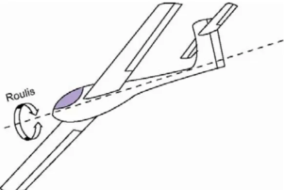 Figure 11 : Mouvement de roulis.