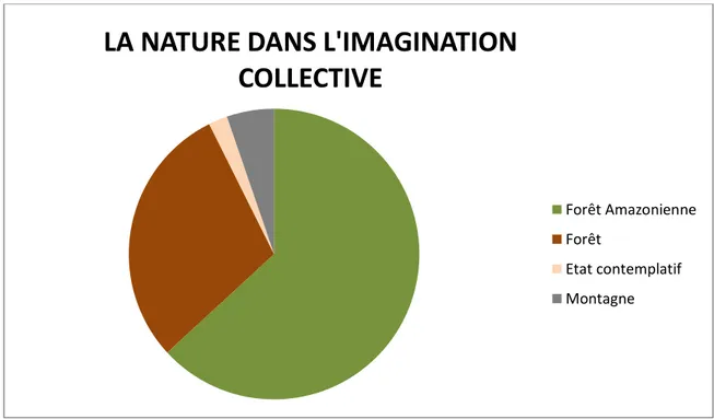 Figure 5 : Graphique des types de significations de la nature dans l'imagination collective - Ingrid Paola Amaro