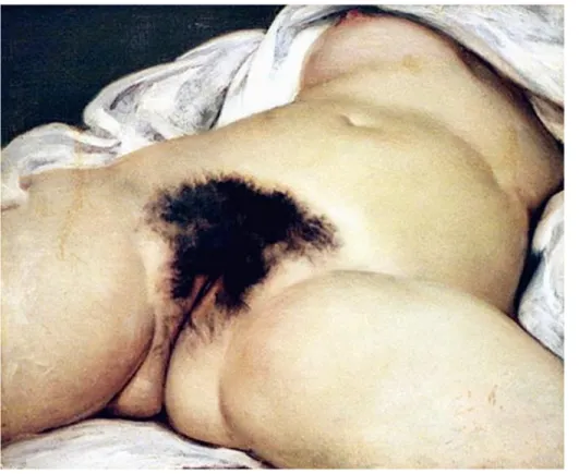 Figure 11 Gustave Courbet   L'Origine du monde  