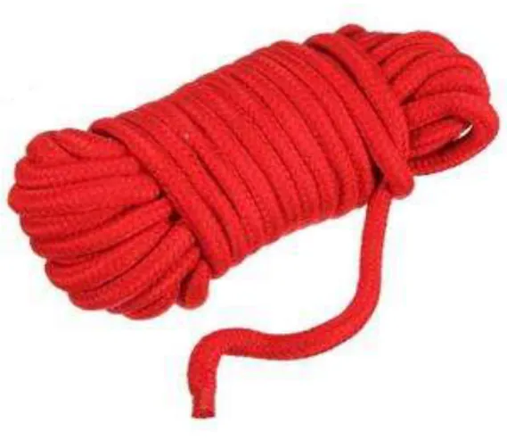Figure 2La corde rouge 