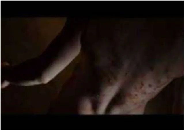 Figure 6Corps de Silas après son auto-flagellation dans le film &#34;Da Vinci Code&#34; 