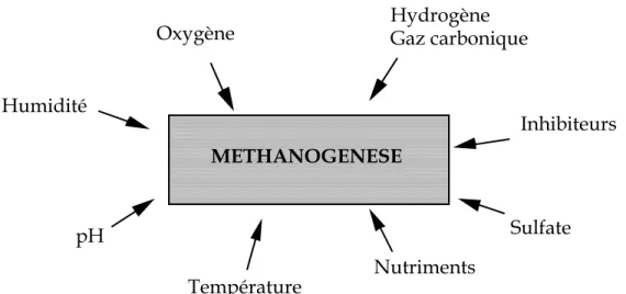 Figure 5 : Paramètres importants liés à la méthanogenèse 