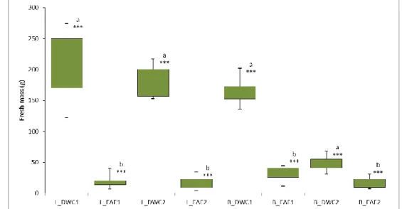 Fig. 4.2. Box-Plot and descriptive statistical data of lettuce (L) and basil (B) shoots harvested in deep water  culture (DWC) and ebb and flow (EAF) beds during season 2014 for cycle 1 and 2