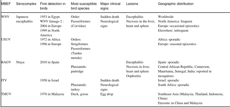 Table 1. Epornitic mosquito-borne flaviviruses: classification and main epidemiological and pathological features 